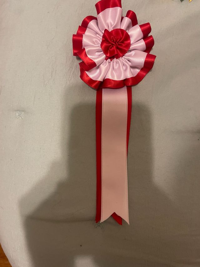 Divisas de toros en perfecto estado