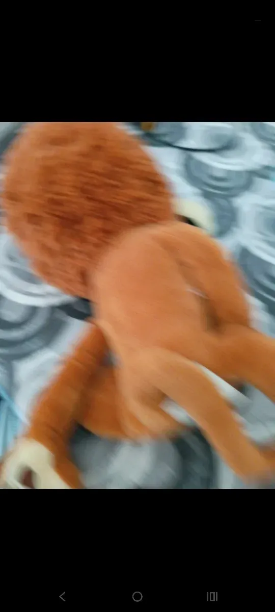 Peluche Leone Linea Malagasc