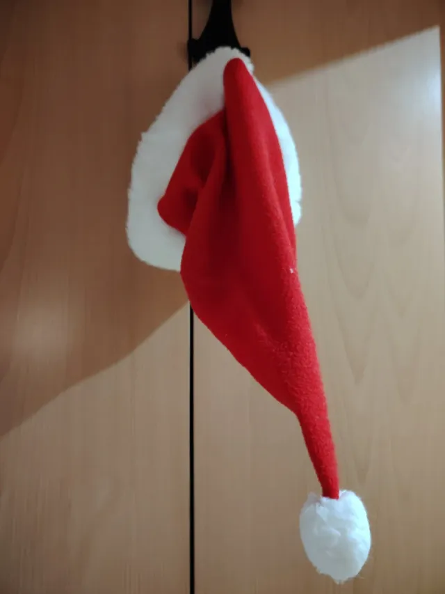 Disfraz Mamá Noel adulto