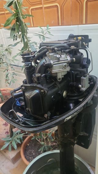 Motor fueraborda Mariner FourStroke
