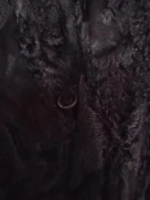 Abrigo de astracán negro