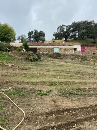 ACV Drain back 200L: Panel + Acumulador ACS