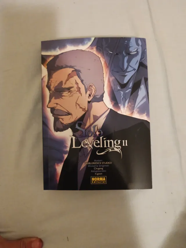 SOLO LEVELING 11