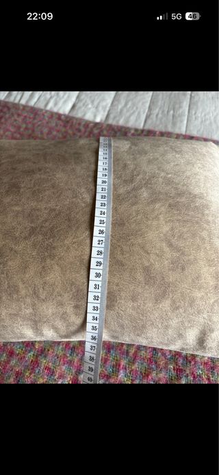 Cojines Terciopelo Beige (2 unidades)