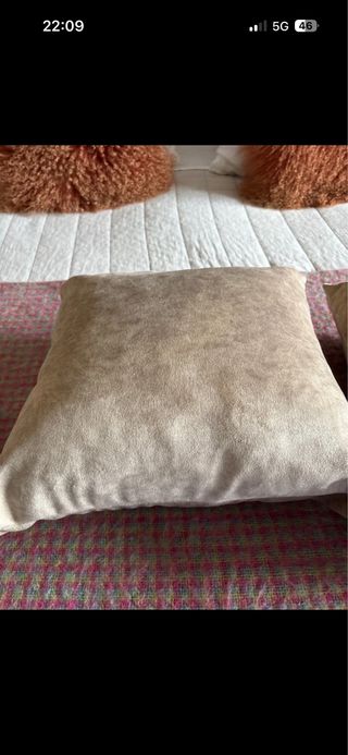 Cojines Terciopelo Beige (2 unidades)