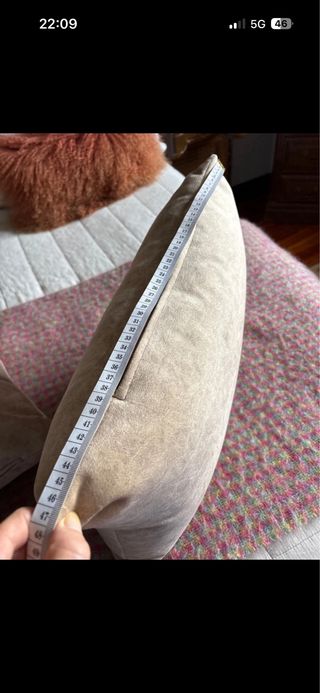 Cojines Terciopelo Beige (2 unidades)