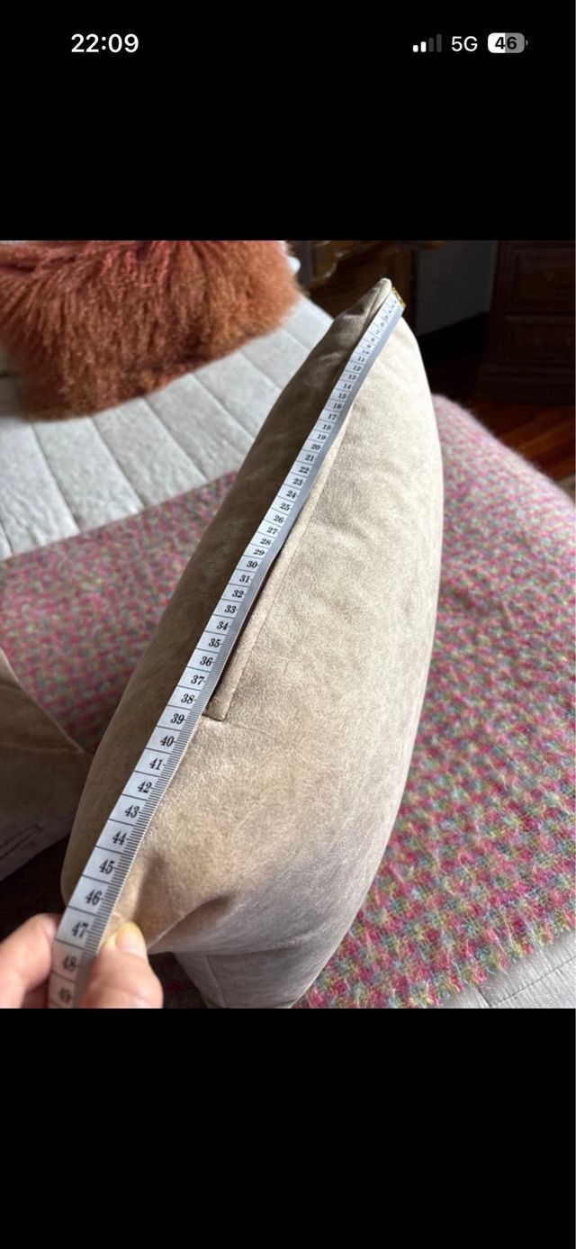 Cojines Terciopelo Beige (2 unidades)