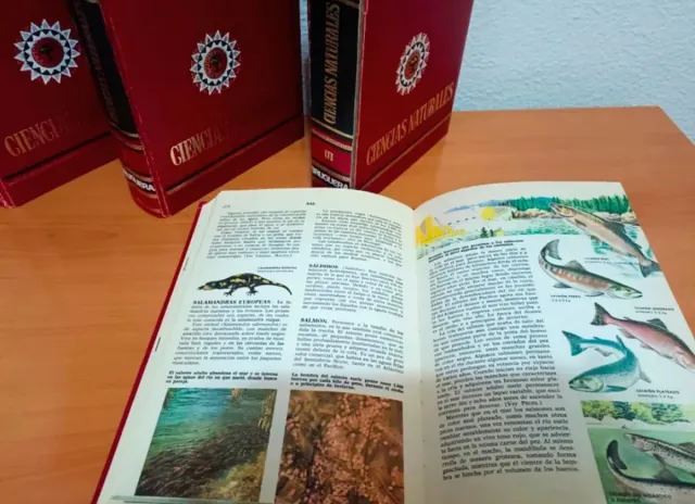 4 libros de Ciencias Naturales