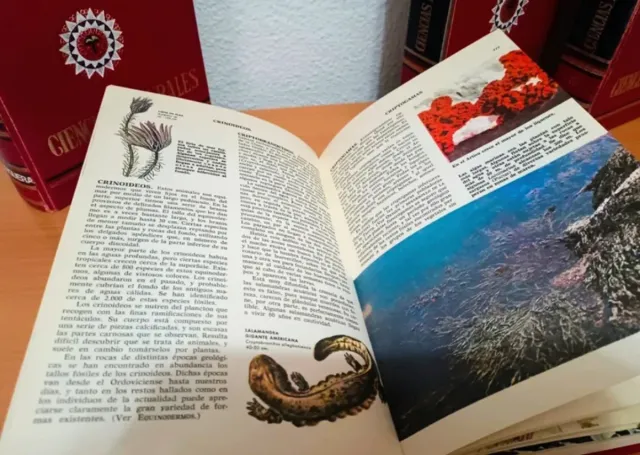 4 libros de Ciencias Naturales