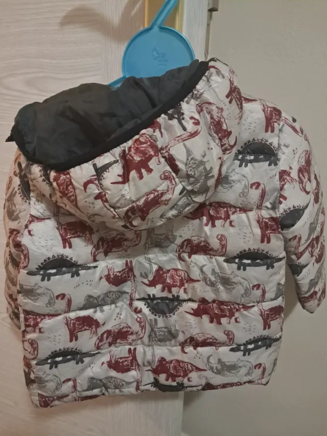 Chaqueta infantil dinosaurios