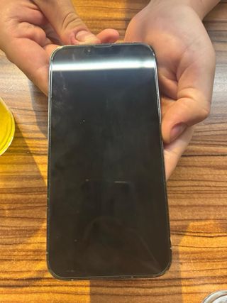 iPhone 13 Pro Max Plata