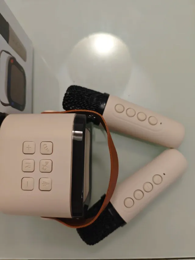 Altoparlante Karaoke + 2 Microfoni