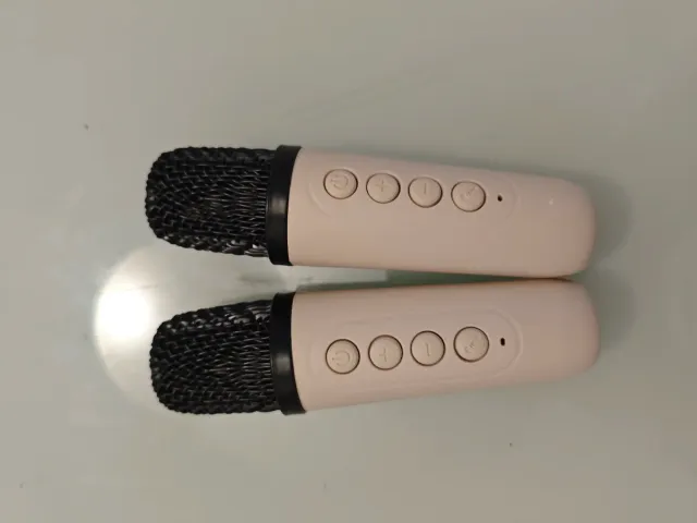 Altoparlante Karaoke + 2 Microfoni