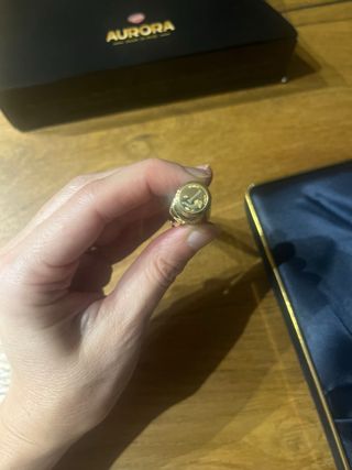 Aurora Ultima Lira stilografica