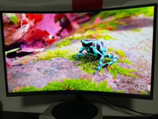 monitor curvo Samsung