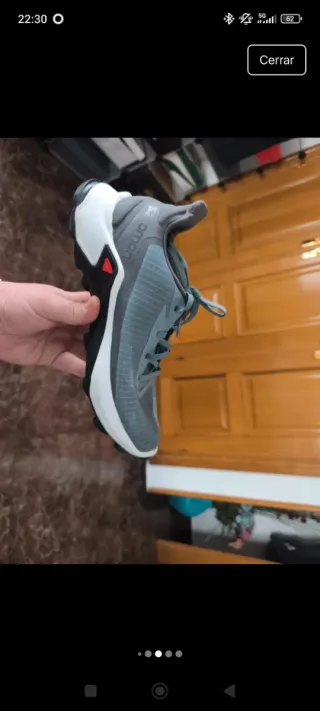 Salomon Alpha Cross 3 gris/verde