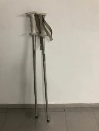 Esquís Blizzard Firebird 130