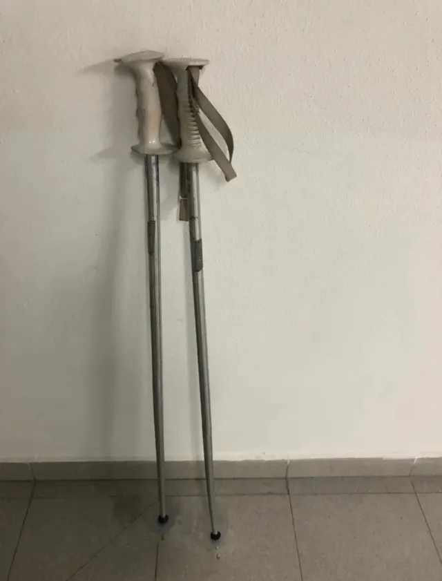 Esquís Blizzard Firebird 130