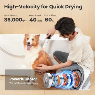 Aspirador Pelos Mascotas y Secador de Perros 130€