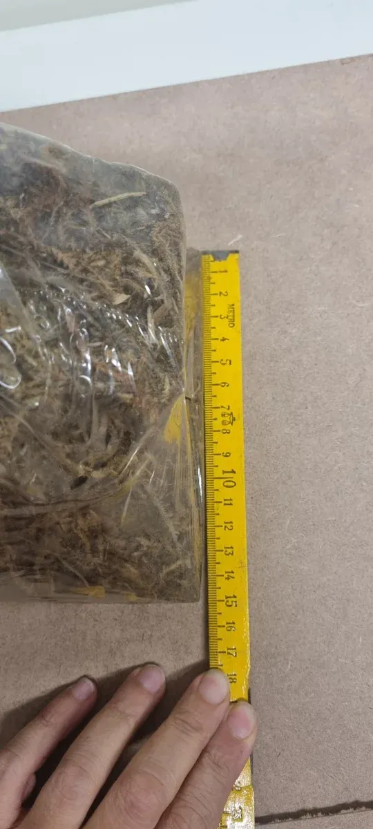 Capanna Presepe Vuota