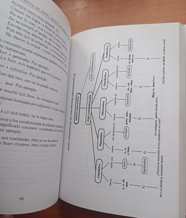 LIBRO DESCRIPCIÓN GRAMATICAL DEL ESPAÑOL