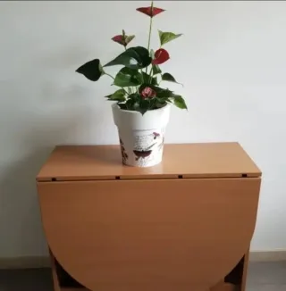 Mesa Foppapedretti plegable y extensible