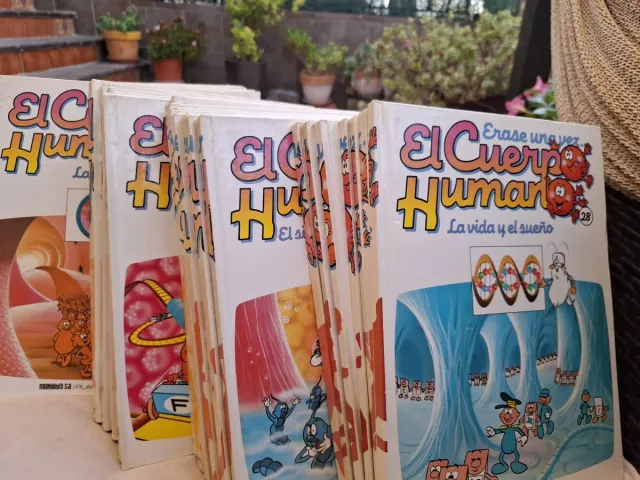 Érase una Vez el cuerpo humano