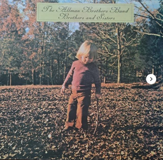 Vinilo The Allman Brothers Band Brothers and Siste