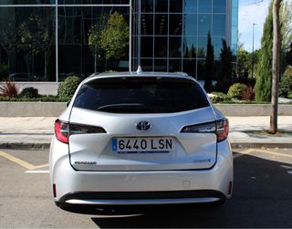 Toyota Corolla business Touring Sport 2021