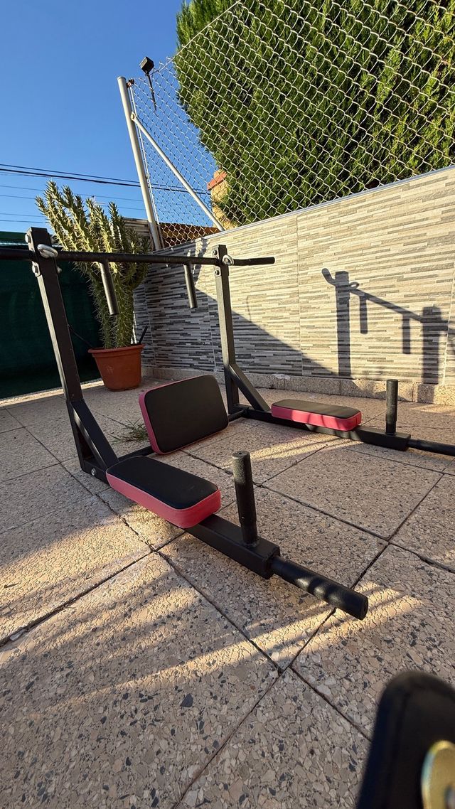 Banco de dominadas y paralelas