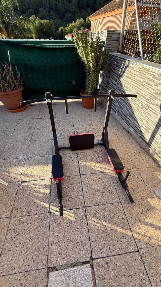 Banco de dominadas y paralelas