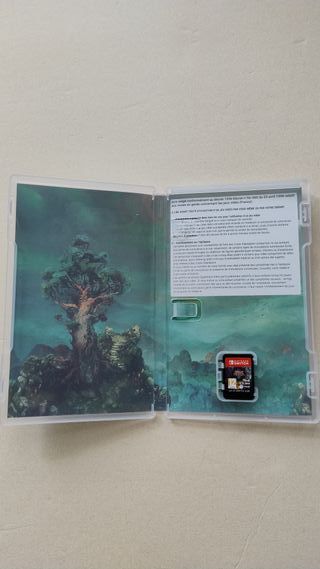 Children of Morta Nintendo Switch