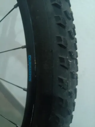 MTB 29 carbono doble 12v Full XT con llantas XT