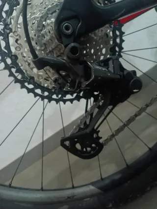 MTB 29 carbono doble 12v Full XT con llantas XT