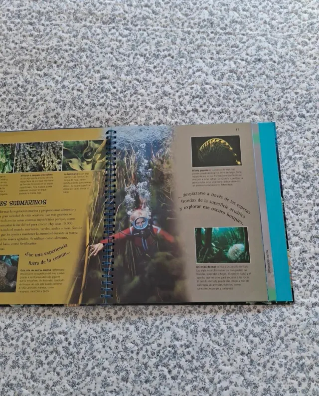 2 libros del fondo del mar y los océanos