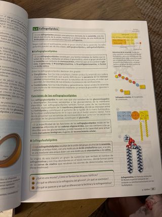 Código Bruño Biología 2 Bachillerato
