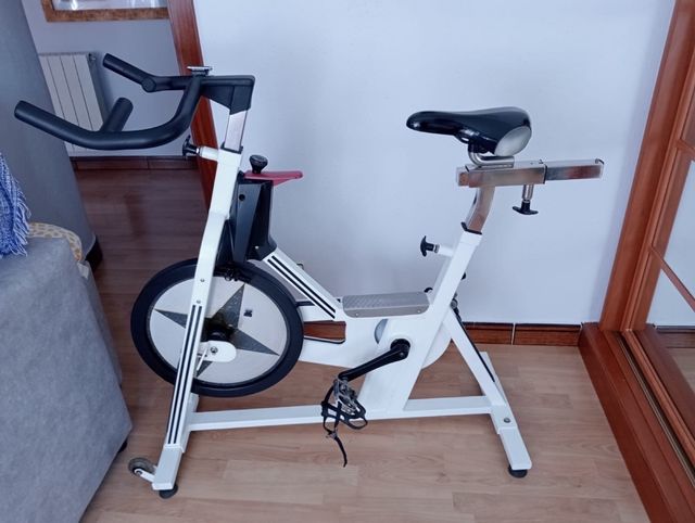 Bicicleta Estática Saneada y Pintada