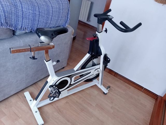 Bicicleta Estática Saneada y Pintada