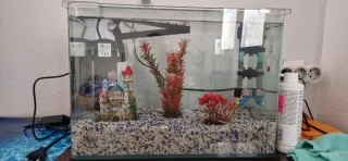 Acuario Blau Cubic 28L con accesorios