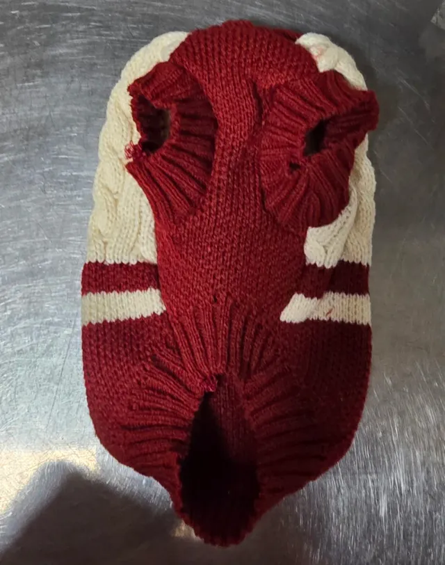 Trajecito para perro tejido