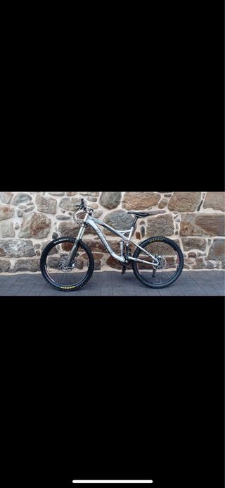 bici enduro/descenso
