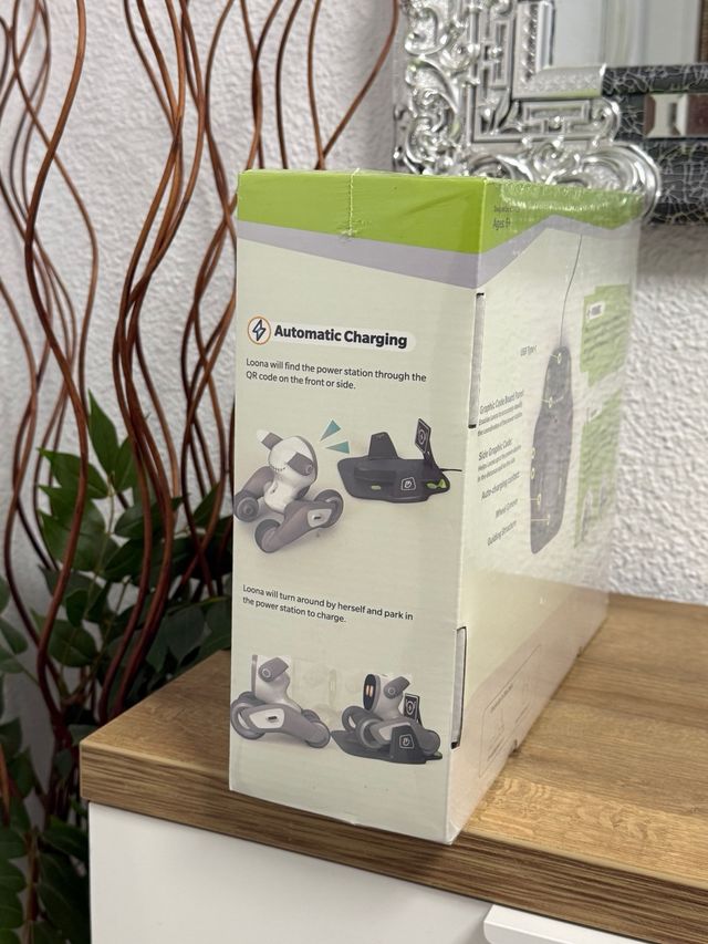 Loona The Power Station - Base de carga original