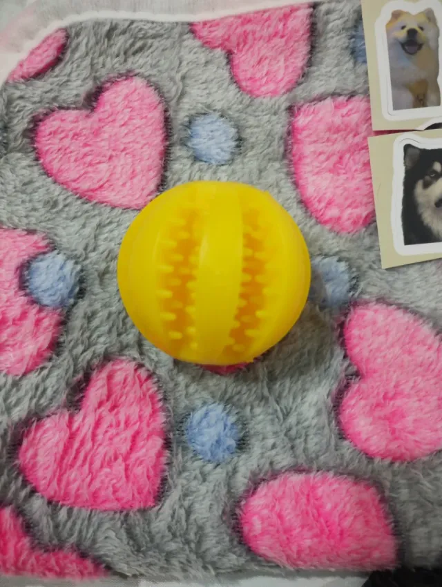 Pack 6 Accesorios para Mascotas