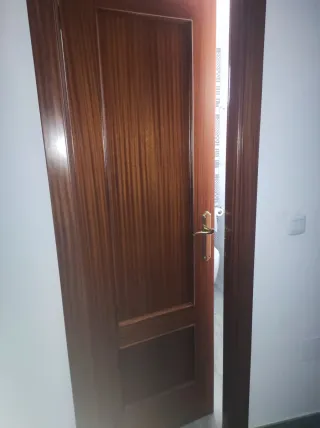 Puerta de madera interior