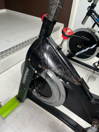 Bicicletas Estáticas para spinning Bodytone DS50