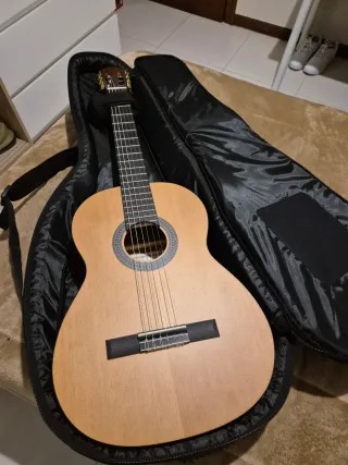 Guitarra Salvador CS - 244