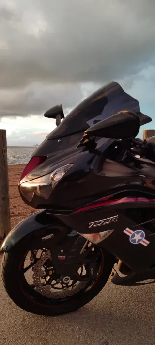 Kawasaki ZZR 1400 2019