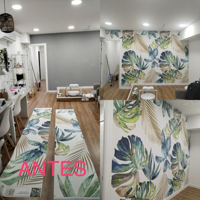 PINTOR ECONOMICO PROFESIONAL