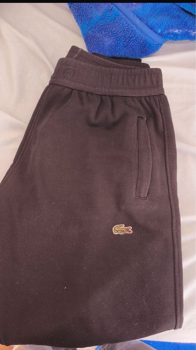 Conjunto Deportivo Lacoste + gratis pantalon