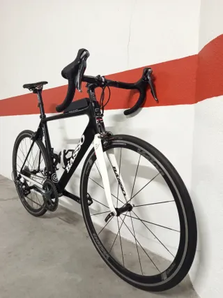 Basso Venta Carbono